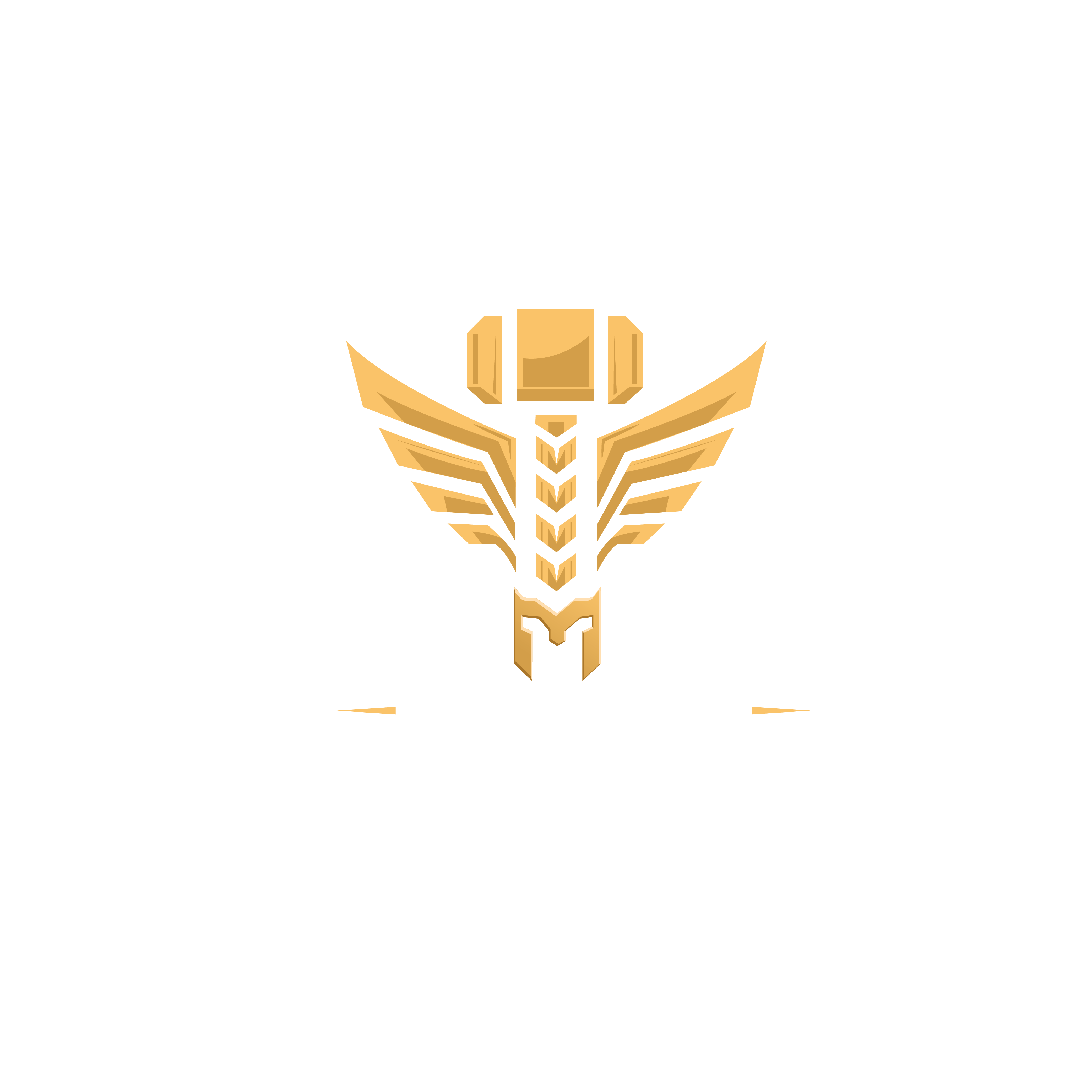 Olympus Performance Training